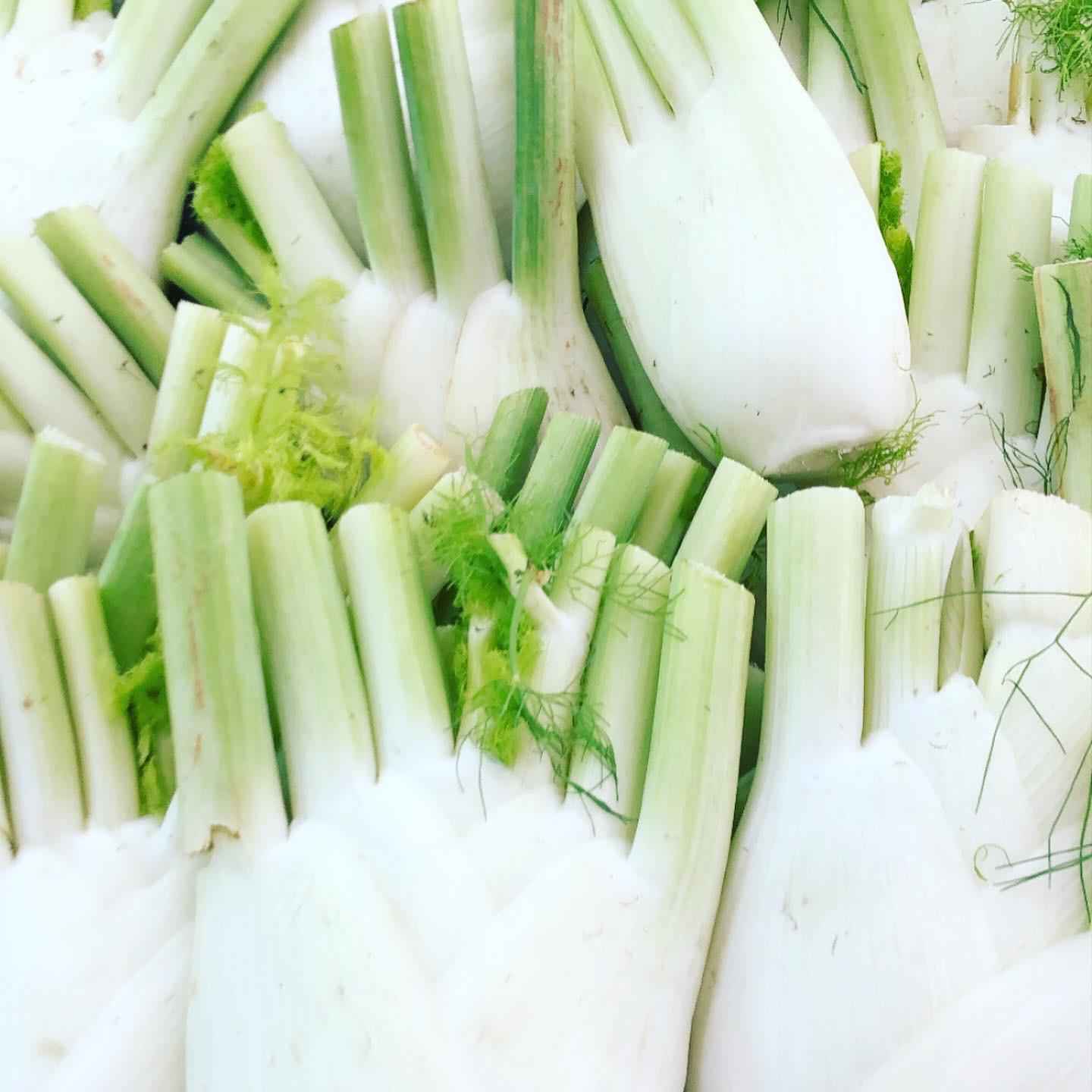 WhatsApp Image 2020-07-29 at 11.16.48 AM (1).jpeg.jpeg